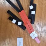 Васильева Валентина Ивановна Город Санкт-Петербург ГБДОУ детский сад N26 Калининского района Санкт-Петербурга Александрова Аврора 5 лет Дикие птицы: снегирь