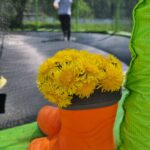 Педагог: Котова Ольга Юрьевна Г. Новоселье Ломоносовский район МДОУ "Детский сад № 14" Арина Сильнягина 4 года Номинация: "Полевые цветы" Название работы: "Весенний сапожок"